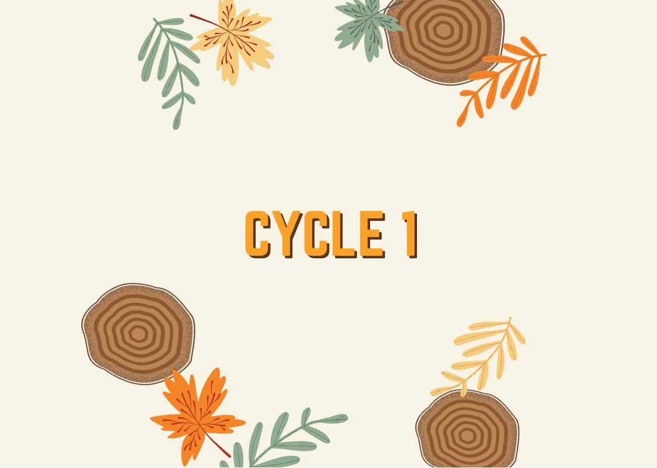 Cycle 1